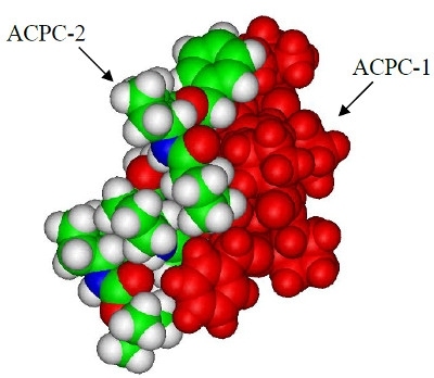 Most intimate dimer of trans ACPC hexamers.  One hexamer is found on the right.  The other hexamer is positioned on the left.  The interaction energy is -37.3 kcal/mol and is dominated by the van der Waals interaction.  Note how the benzyl group packs against the t-butyl group at each end of the dimer creating preferential docking.